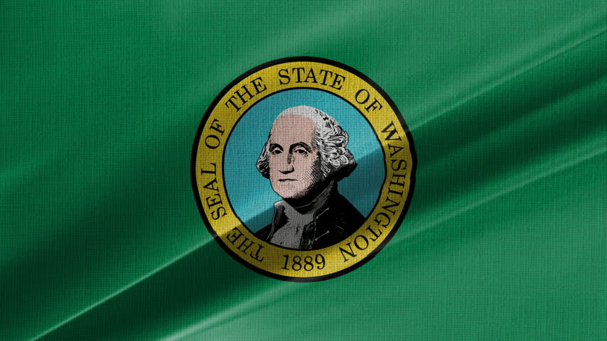 Washington Flag Animation With Fabric Texture Loop