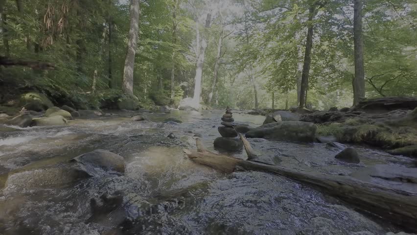 Forest stream rushes over rocks through the the Great Smoky Mountains in Tennessee with Stacked rocks and a fallen trees in the forest