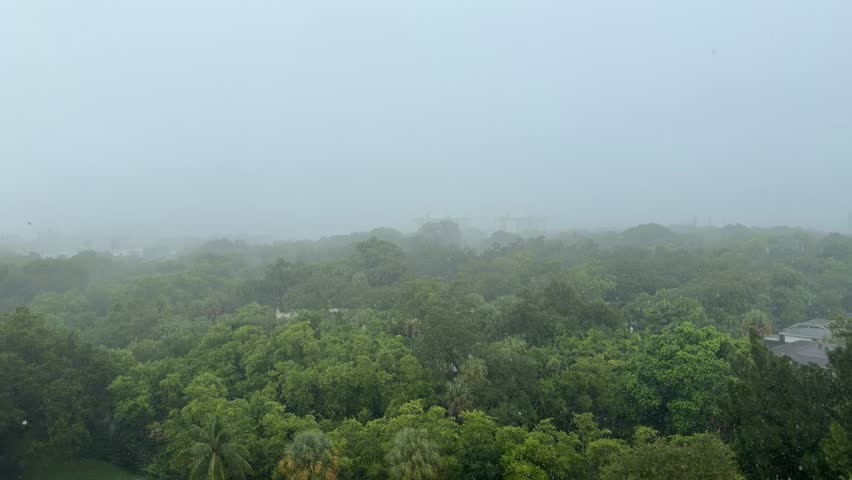 Static tripod shot of torrential rain during a hurricane in Miami, Florida. Dense rainfall completely obscures the horizon, with green trees filling the foreground and midground. Original, unedited footage filmed in 4K. 