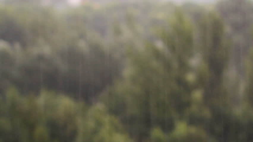Heavy rain on a background of green forest. Refocusing on the back burner. top view Royalty-Free Stock Footage #4156924