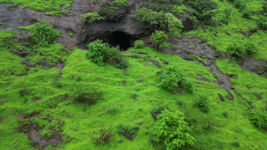 Exploring the Hidden Depths: A Mossy Cave Entrance.