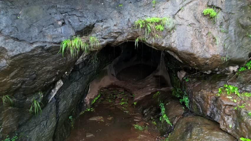 Exploring the Hidden Depths: A Mossy Cave Entrance.