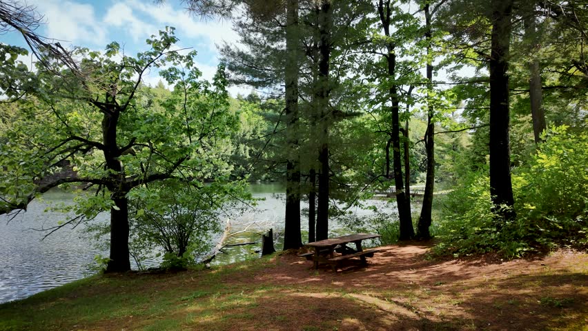 Static shot of a peaceful picnic area beside Mulvihill Lake in Gatineau Park near Ottawa. Forest trees frame the calm lakeshore with a wooden picnic table in a tranquil summer setting.