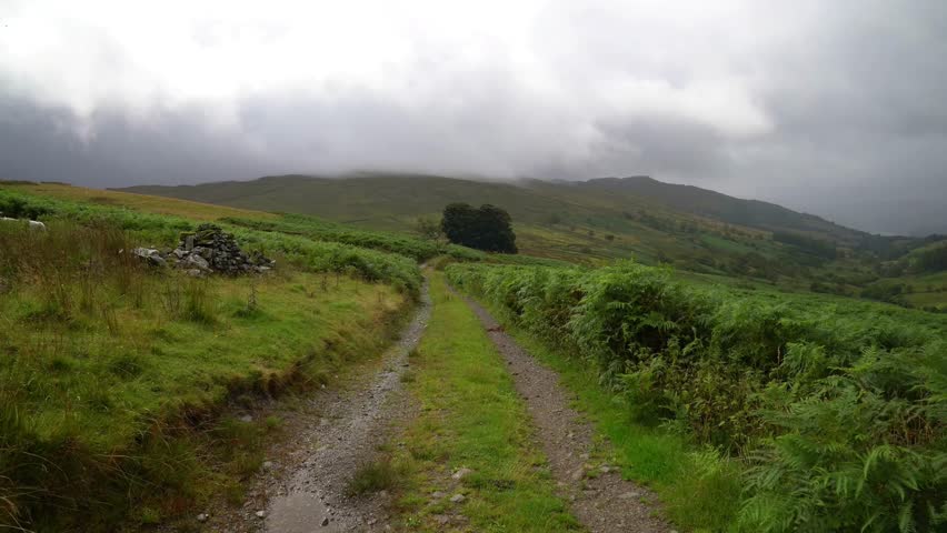 Lakeland pathway leading towards the mountains