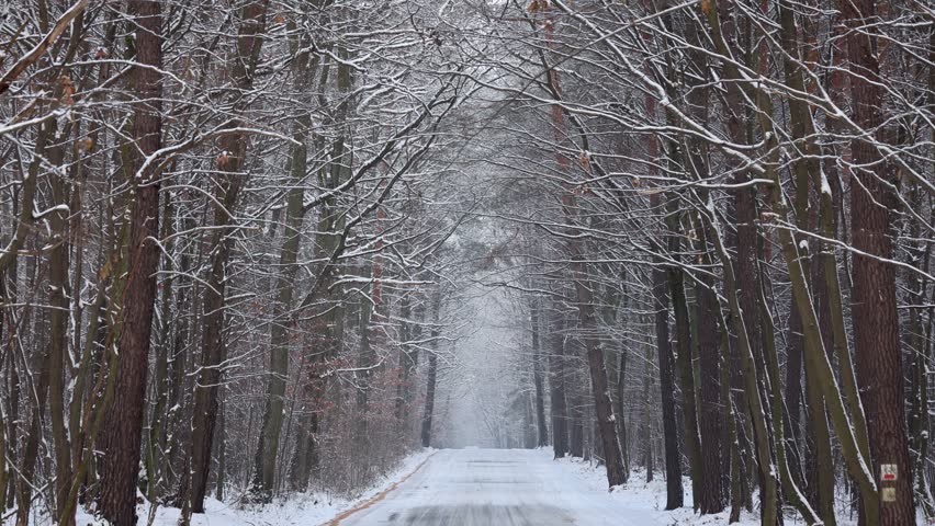 Road during winter in Rogow village, Lodz Province, Poland, 4k video