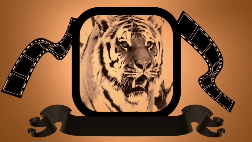 Tiger animation in a film frame with decorative ribbon on a warm orange background. Not AI Generated Studio Render.