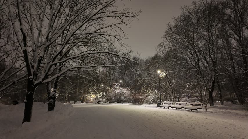 Peaceful winter park at night covered with fresh snow. Bare trees, snow-covered benches and glowing street lamps create a quiet atmospheric urban landscape with soft warm illumination and a serene winter mood.
