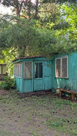Old abandoned wooden house surrounded by tall trees in a quiet forest showing rustic architecture and the passage of time