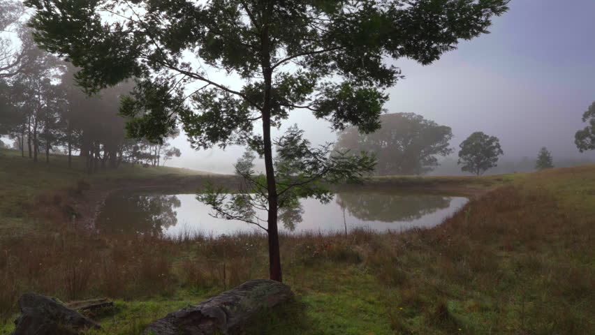 Smooth moving gimbal shot past a tree overlooking a peaceful farm dam surrounded by rolling grassland and trees in heavy morning mist in the Southern Highlands, New South Wales, Australia.