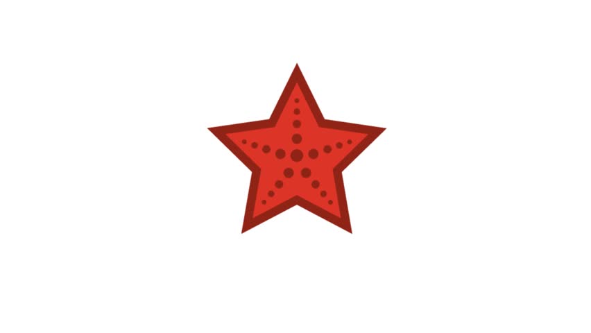 Animated starfish icon representing marine life, ocean nature, underwater wildlife, tropical beaches, and coastal environments. Clean motion graphic ideal for marine biology content, educational materials, travel videos, tourism projects, websites, presentations, social media, and digital designs related to oceans, beaches, aquatic life, and tropical destinations.