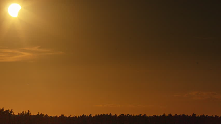Partial sun eclipse over forest. Sun eclipse of 2026 year. 4k timelapse