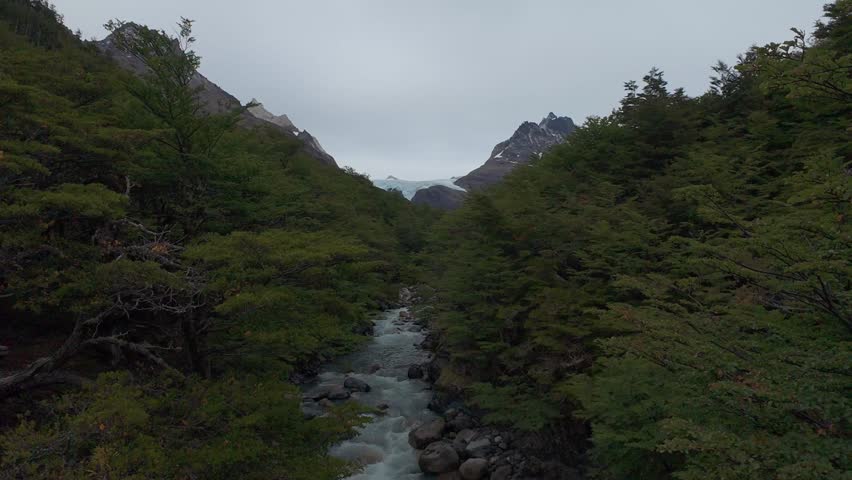 Mountain Stream Flowing Through Patagonian Forest On O Circuit In Torres Del Paine Chile