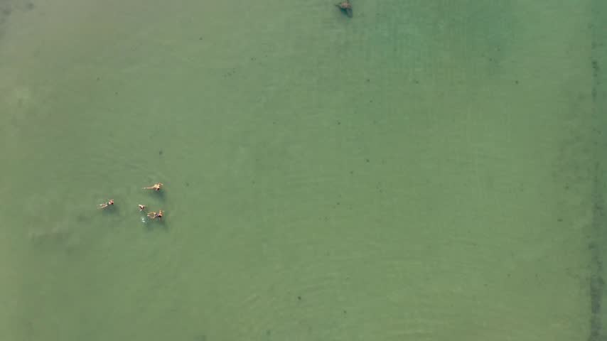 Top down aerial drone view of a group of people swimming and floating peacefully in clear emerald green sea water during a sunny summer vacation.