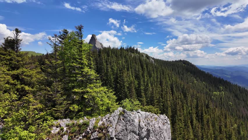 Romania forest Rarau mountain nature landscape Europe highlands travel destination landscape
