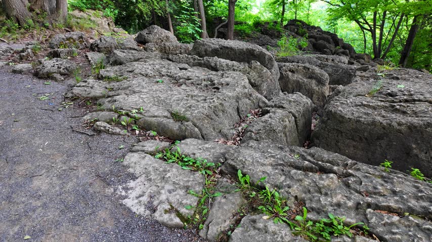 Rocky trail in Rattlesnake Point Conservation Area in Ontario, Canada