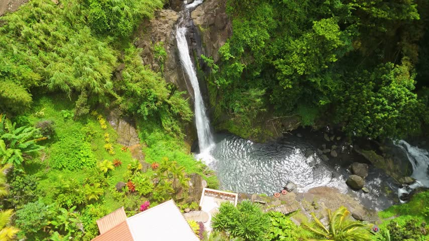 Top down aerial orbit circles Concord Falls waterfall cascading into green pool surrounded by tropical garden in Grenada