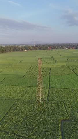Aerial view of vibrant green farmland and rolling hills surrounded by a peaceful rural landscape
