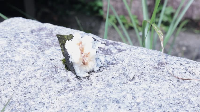 A half eaten rice ball on the ground also known as an Onigiri in Japanese.