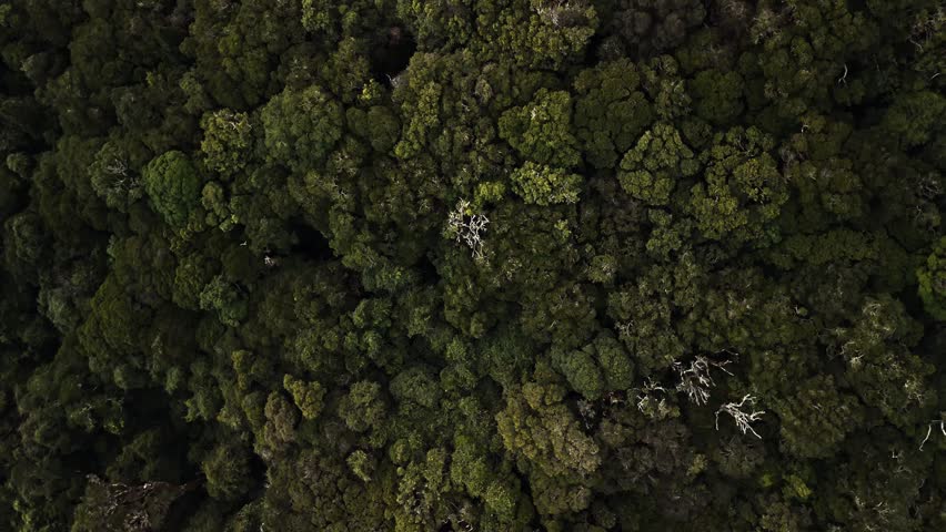 Main Range National Park aerial flyover