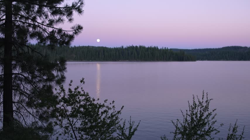 Full moon rises above forest lake under soft purple twilight sky, casting a pale reflection across calm water while dark pine trees frame the peaceful wilderness landscape