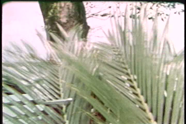 1970s - An 1970s film about an explosives retrieval unit of the U.S. navy