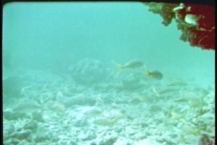 1970s - An 1970s film about an explosives retrieval unit of the U.S. navy
