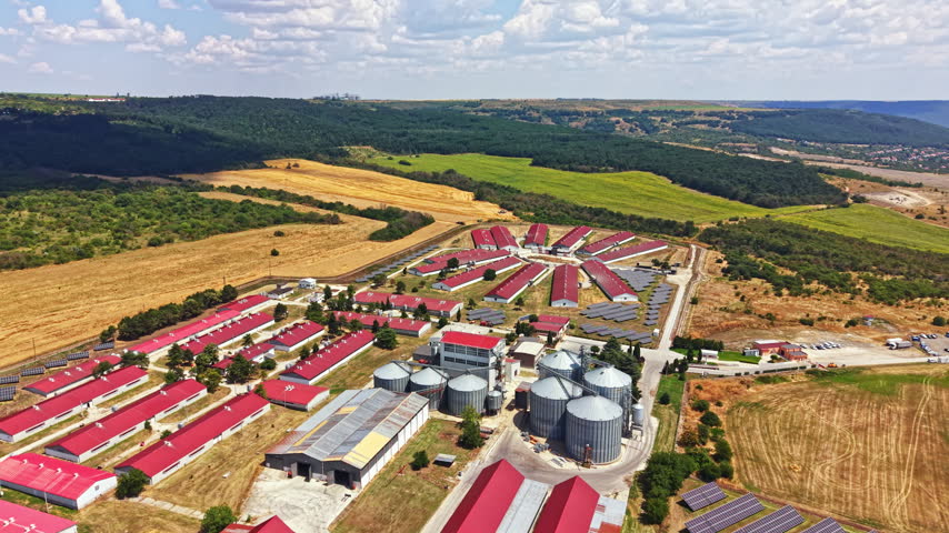 A large pig farm features several buildings with red roofs, silos, and fields. The scene shows the layout of the farm and surrounding landscape with green hills and open fields.