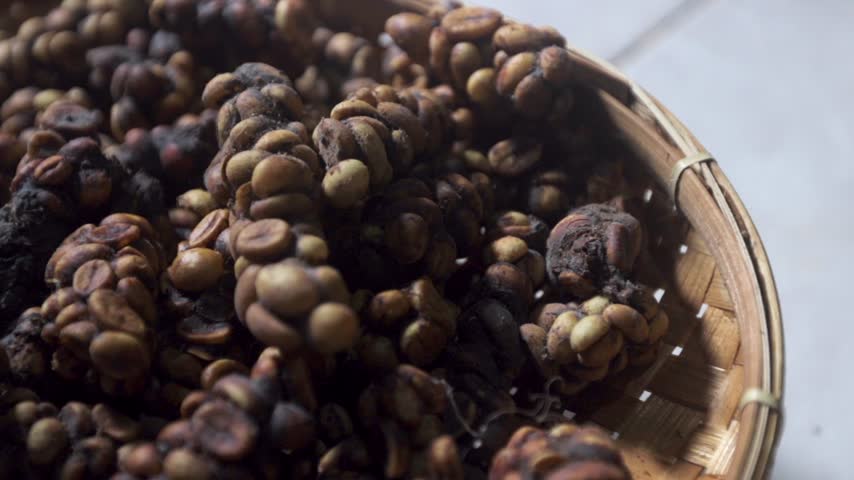 Extreme close up of raw unwashed Kopi Luwak civet coffee bean clumps sitting inside a traditional woven bamboo basket.Slow motion tracking shot showcasing the unique texture of fermented civet cat poop coffee beans before the cleaning process.Detailed macro view of authentic Indonesian luxury Luwak coffee clusters piled up on a round wicker tray ready for production.