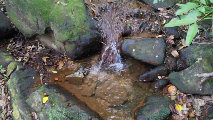 Tilting up slow motion shot revealing a scenic little stream flowing between ancient mossy boulders in the dense green jungle forest.