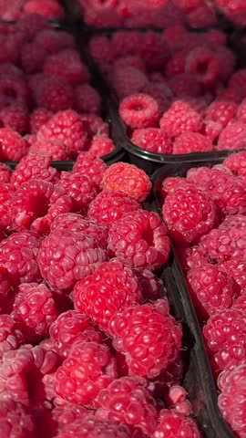 raspberries at the market. Rows of full pints of red raspberries at a farmers market or outdoor produce store. Organic fruit with antioxidants.