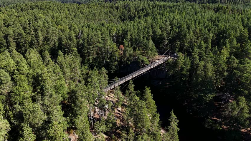 Aerial view of Lapinsalmi pedestrian bridge crossing Kapiavesi strait over evergreen pine forest in Repovesi National Park, Kouvola, Finland.