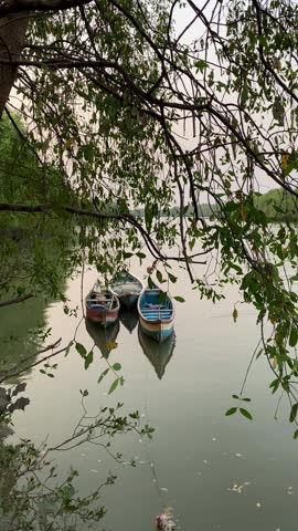 three small boats floating quietly in the calm waters of a creek. 