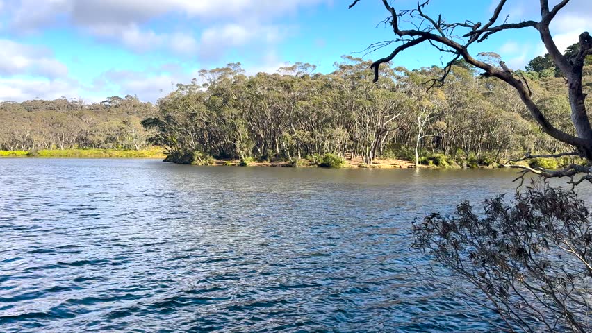 Footage of the scenic and popular Wentworth Falls Lake and the surrounding forestry near the town of Wentworth Falls in the Blue Mountains in New South Wales, Australia