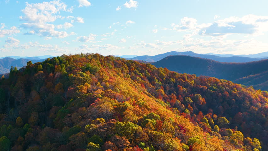 Beautiful fall scenery featuring dense mountain woodland covered in brilliant autumn colors. Warm sunset light enhances vibrant forest landscape.