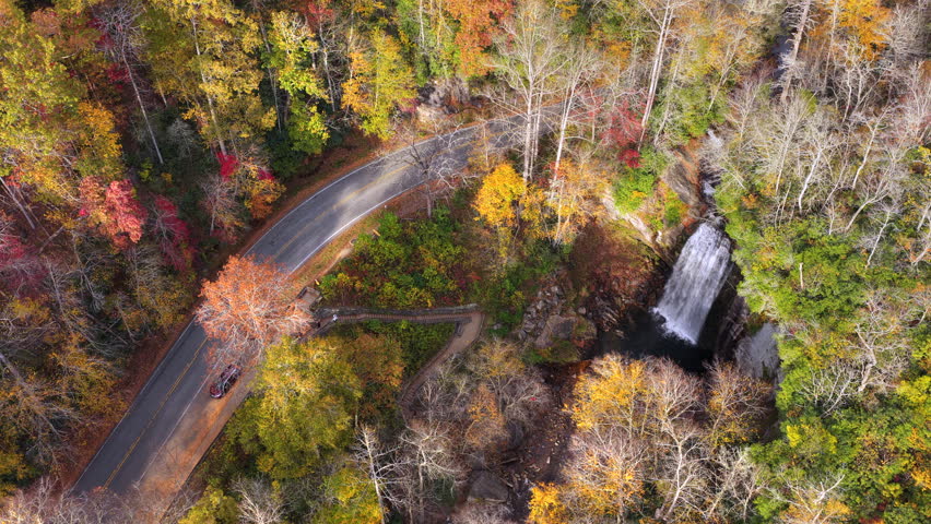 Forest Heritage Scenic Byway and Looking Glass Falls with visitors on the overlook. Cars driving along the scenic roadway through colorful autumn forest.