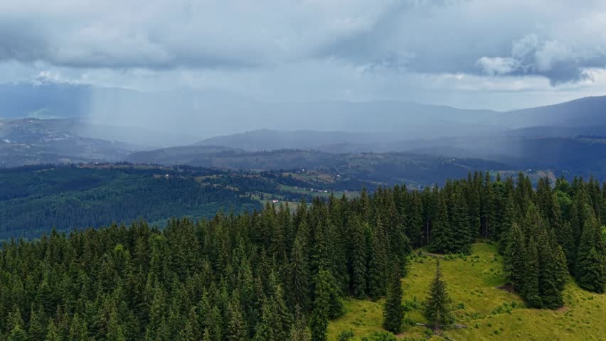 View the stunning landscapes of the Carpathians in Ukraine with aerial shots showing forests and valleys. Experience the beauty of nature in the wilderness.