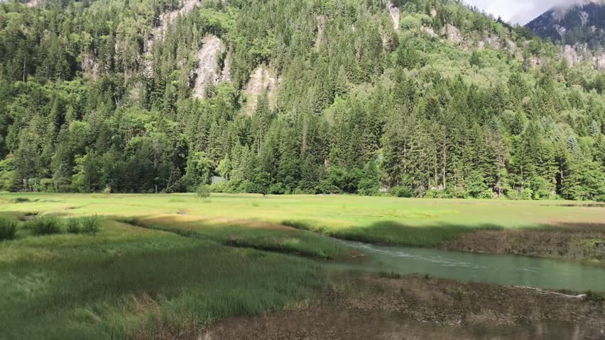 Jiuzhaigou Reed Lake with Flowing River and Forest in Summer, Sichuan, China
