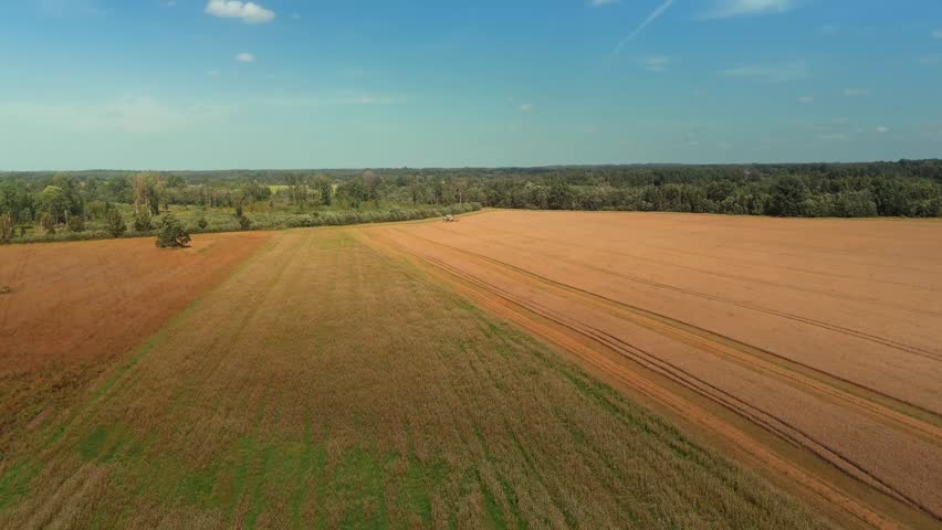 Wheat harvesting in progress as tractor moves through golden fields, showcasing the agricultural landscape under a clear blue sky with clouds