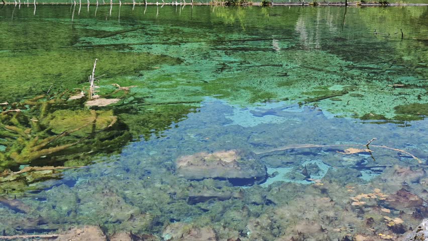 Jiuzhaigou 4K Close-up of Sparkling Green Water Surface with Glittering Light Reflections, Sichuan, China