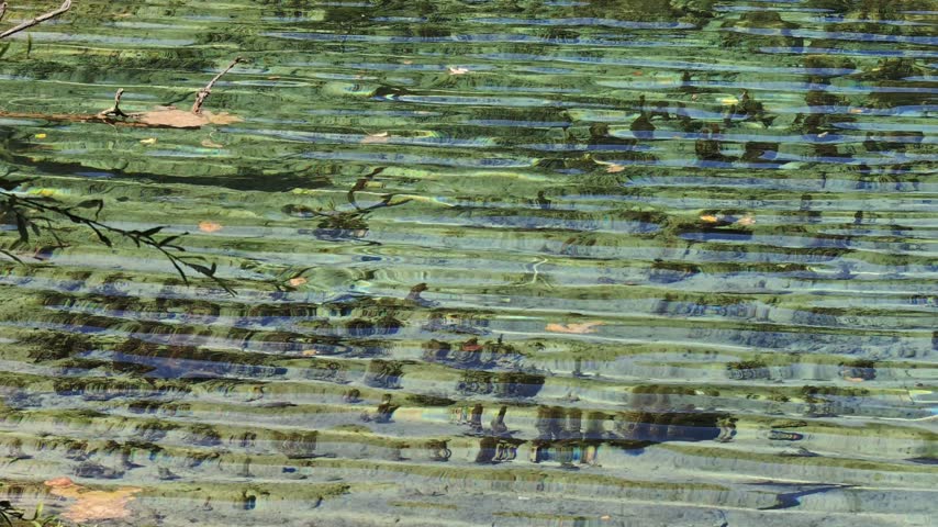 Jiuzhaigou 4K Close-up of Sparkling Green Water Surface with Glittering Light Reflections, Sichuan, China