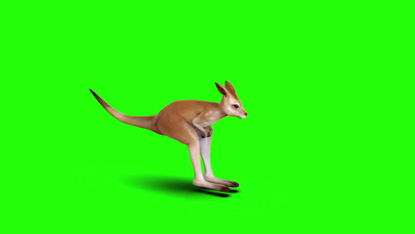 Realistic 3D Illustration Model of a Jumping Red Kangaroo in Motion