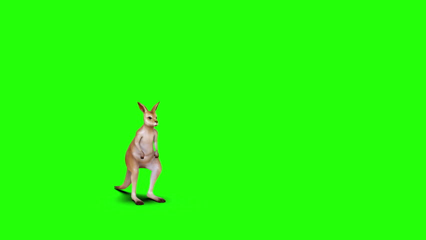 Realistic 3D Illustration Model of a Jumping Red Kangaroo in Motion