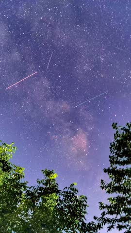 Milky way galaxy across deep night sky above tree tops stars astronomy space cosmos trees. 12 august