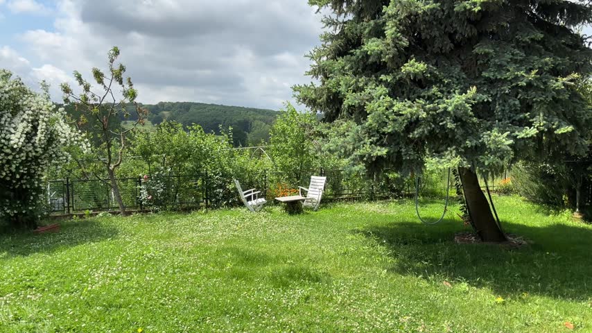 Wide shot of a peaceful green garden with a large pine tree and seating area