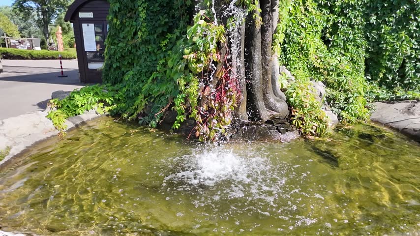 Close-up slow-motion shot of a small decorative garden waterfall falling from mossy stones and rocks surrounded by green plants.