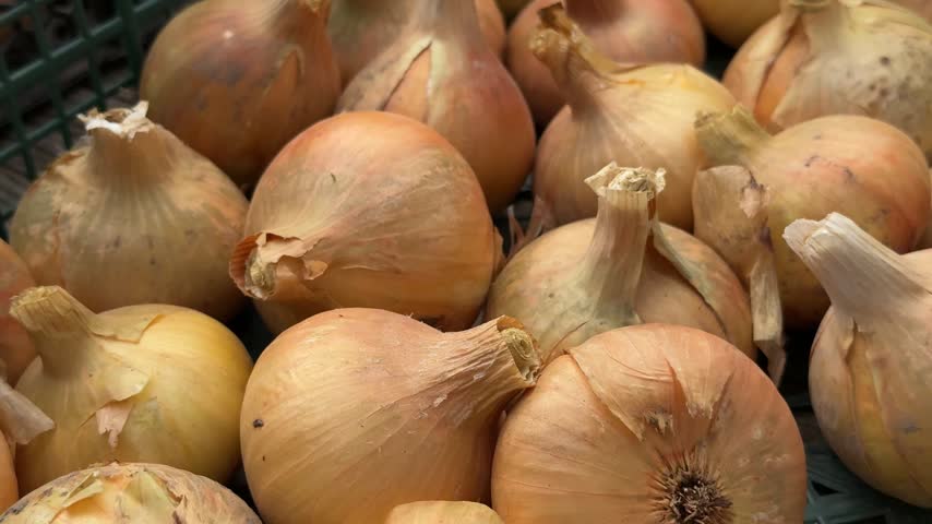 Clean harvested yellow onions in plastic crate, fresh raw vegetables, agricultural yield, farm store.