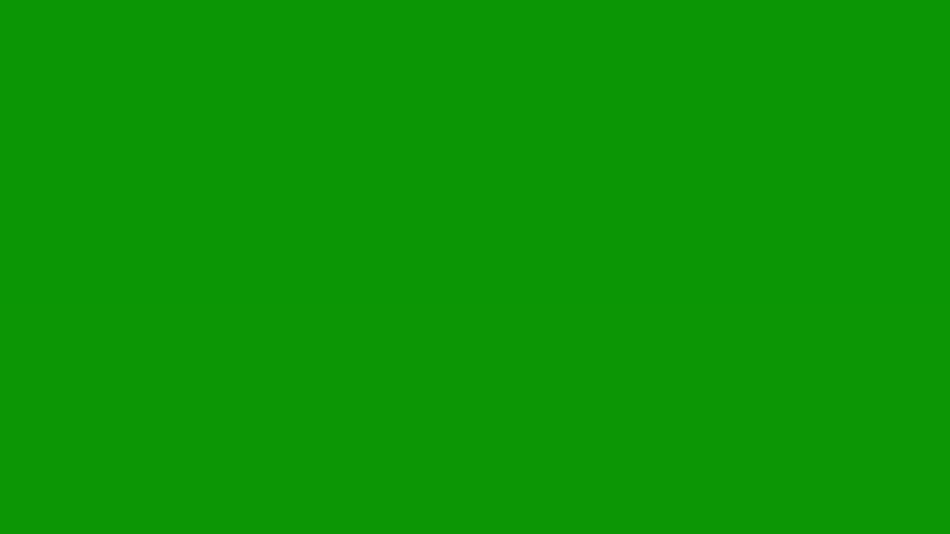 Picture of fish red on object in the middle flower bird it dot heart isolated on green screen background