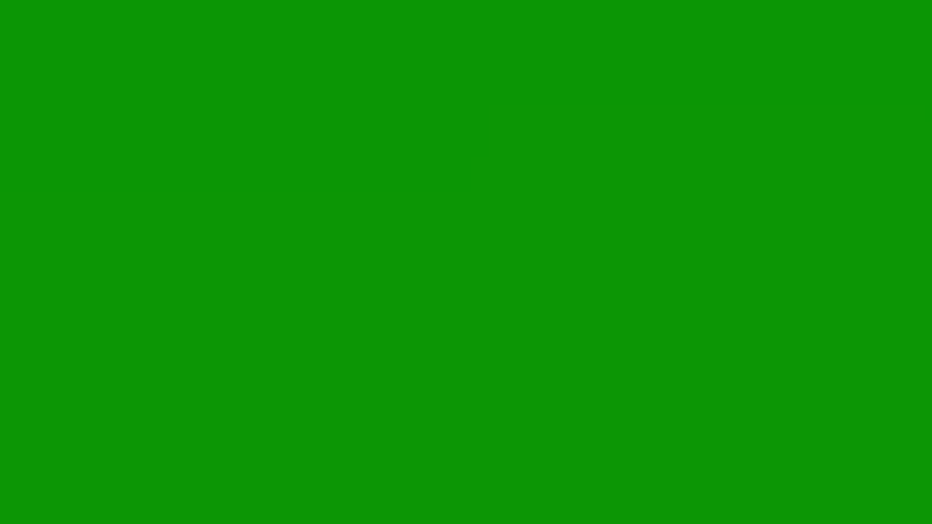 Red umbrella on it bunch of flowers object in the middle is arrow bird isolated on green screen background