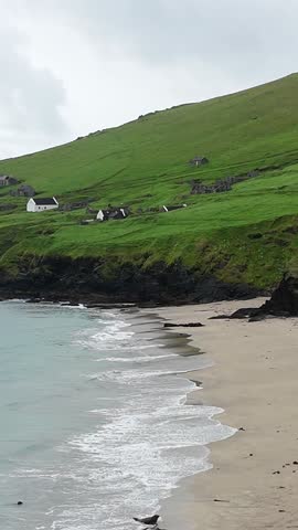 A drone shot of the beach at the great blasket islands, Kerry, Ireland, also showing the largest colony of sea lions in Europe. The shot pulls back along the length of the beach to reveal the sea lions. This footage was recorded on 6th August 2025.