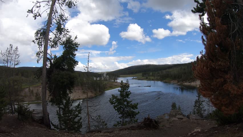 Calcite springs overlook, Scenic view of the Yellowstone River flowing through the Grand Canyon of the Yellowstone with steep cliffs and pine trees in Wyoming